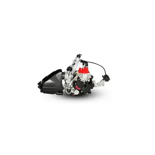 [R350125140] MOTOR ROTAX MAX EVO 2025 (Sin batería)